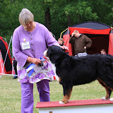 – Hurraaaa - Filua 2. bedst i BIK lørdag på Klubudstillingen 2011 – Hurraaaa - Filua 2. bedst i BIK lørdag på Klubudstillingen 2011