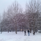 DSC00361.JPG