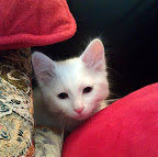 IMAG0426.jpg IMAG0426.jpg