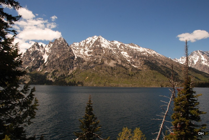 [06-04-13-D-Teton-Road-Moose-to-Jenny%255B16%255D.jpg]