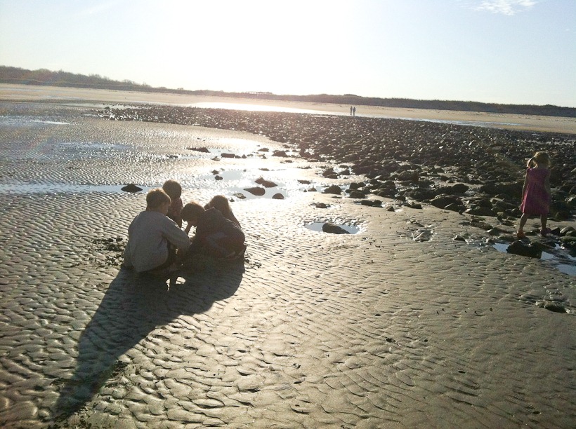 [IMG_1516%255B3%255D.jpg]