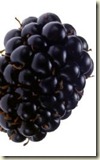 blackberry