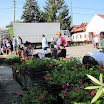 viragvasar_2010_09.jpg