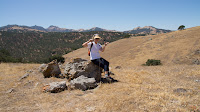 DSC02967.jpg