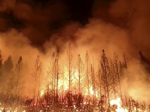 The Rim Fire burns near Yosemite National Park, 24 August 2013 Photo: U.S. Forest Service / AP