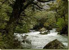 Routeburn-83