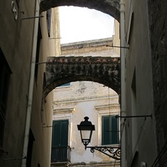IMG_0558