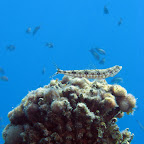 IMG_9639.JPG