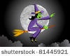 [Clipart_green_skinned_witch_flying_on_broomstick_in_sky_vector_illustration_110919-171157-727001%255B3%255D.jpg]