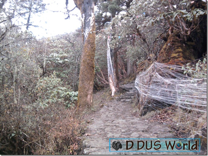 Pathivara yatra (82)