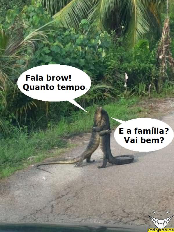 Reencontro