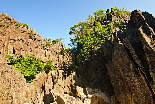 Minalahus Island Caramoan