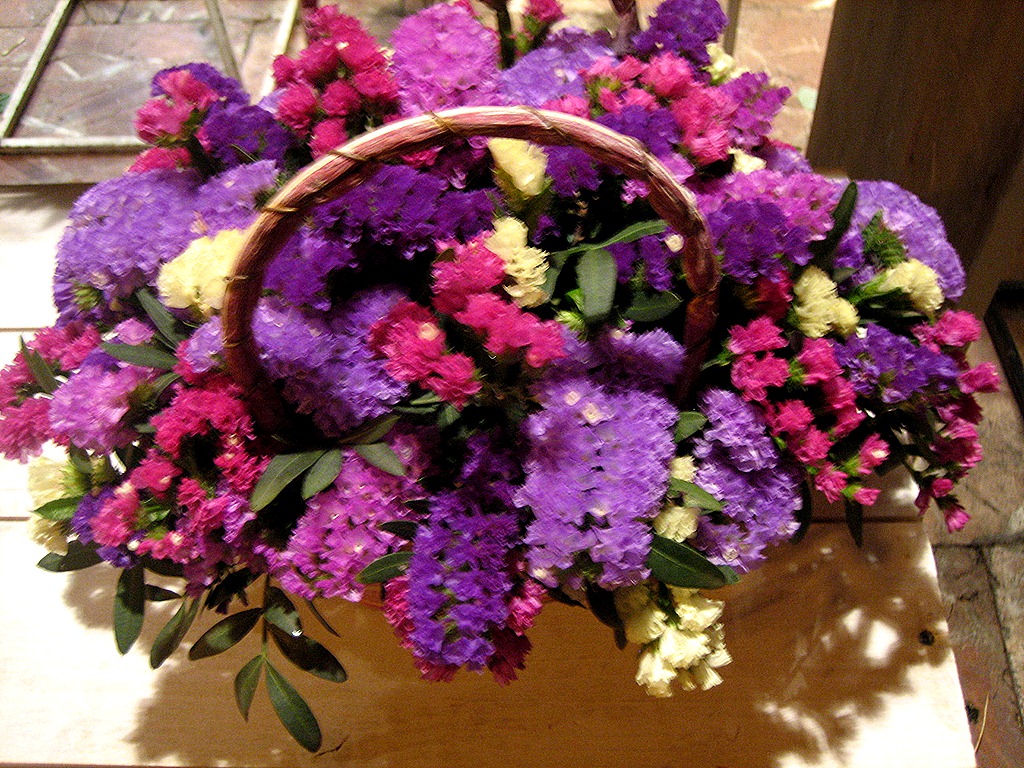 [IMG_1330%255B9%255D.jpg]