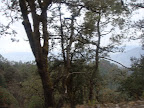 Jim Corbett Tour Slideshow