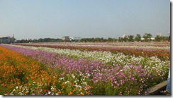 IMG_1141 IMG_1141