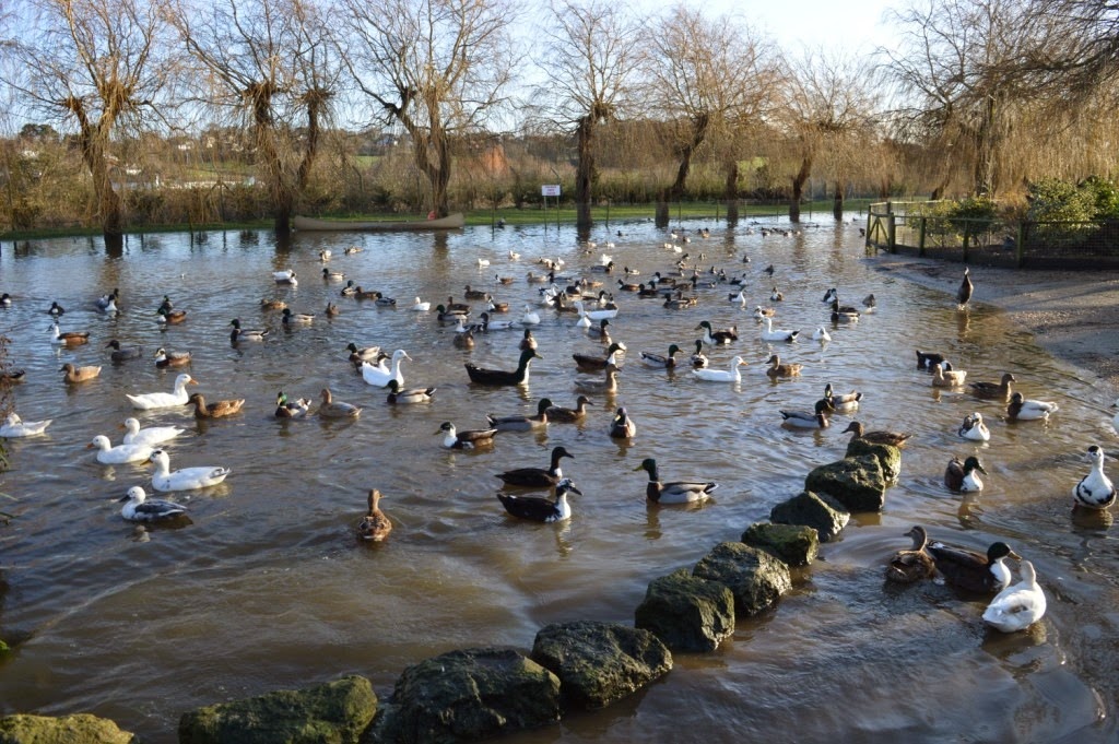 [DSC_0400%255B5%255D.jpg]