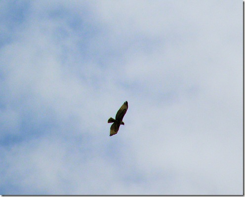 20120828_6