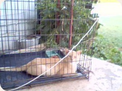 Picture 008