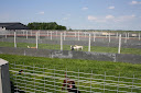 speelweide_nieuw5.jpg
