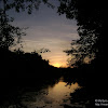 dsc03367.jpg