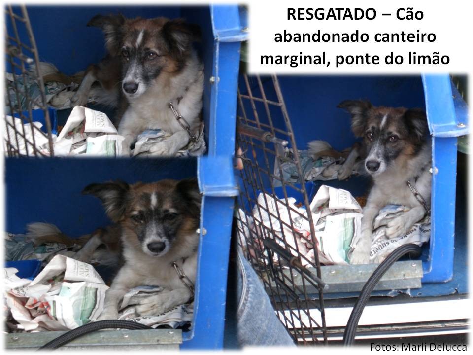 [Slide6%255B2%255D.jpg]