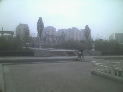 05091438 (Medium).jpg