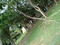 DSC05354.JPG