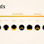 The Trustworthiness of Beards