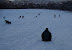 Playing in the Snow