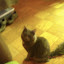 cats_reneseme_2010_01-08.jpg