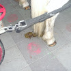 BILD0022.JPG