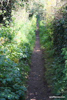 IMG_6039.JPG Photo