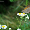 DSC_0513.jpg