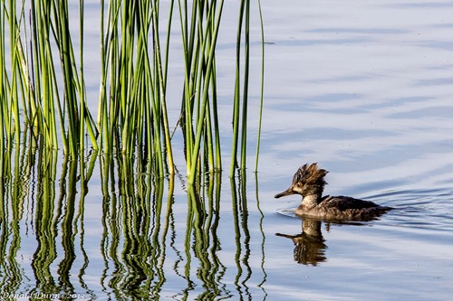 [130228_EE-5%255B4%255D.jpg]