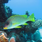 IMG_1201.JPG