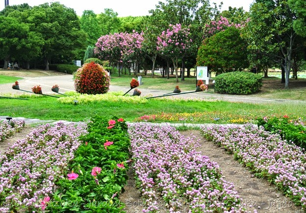 7c a- Glória Ishizaka - Jardim Botânico Nagai - Osaka