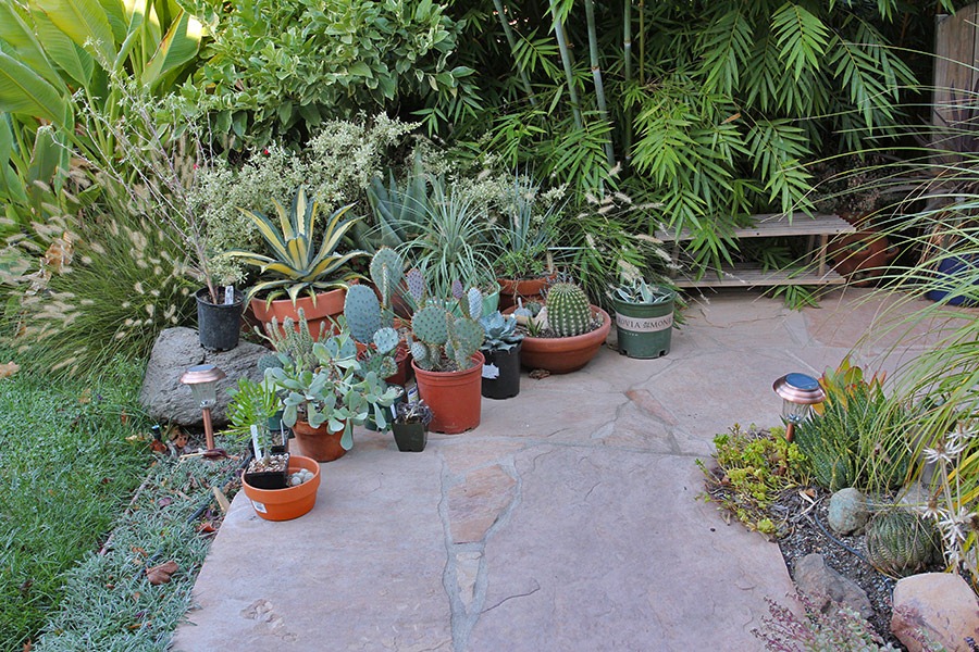 [111029_pots_before%255B2%255D.jpg]