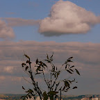 P1050339.JPG