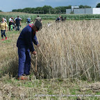 graanoogst-09-004.jpg