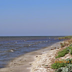 IMG_5675.JPG