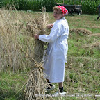 graanoogst-09-005.jpg