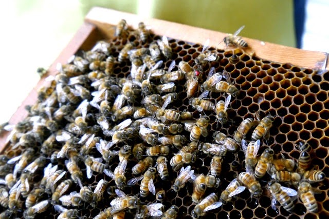 [P1050193%255B3%255D.jpg]