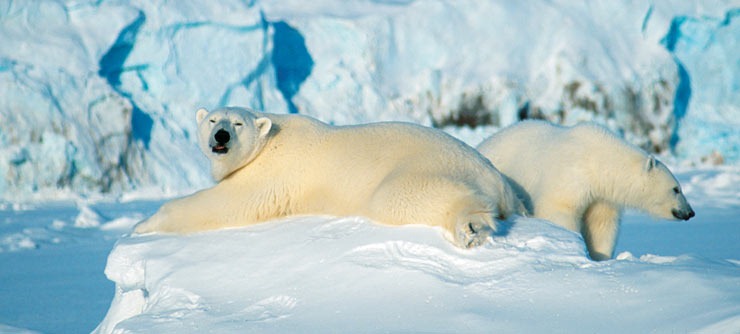 [Svalbard_Norway_740%255B4%255D.jpg]