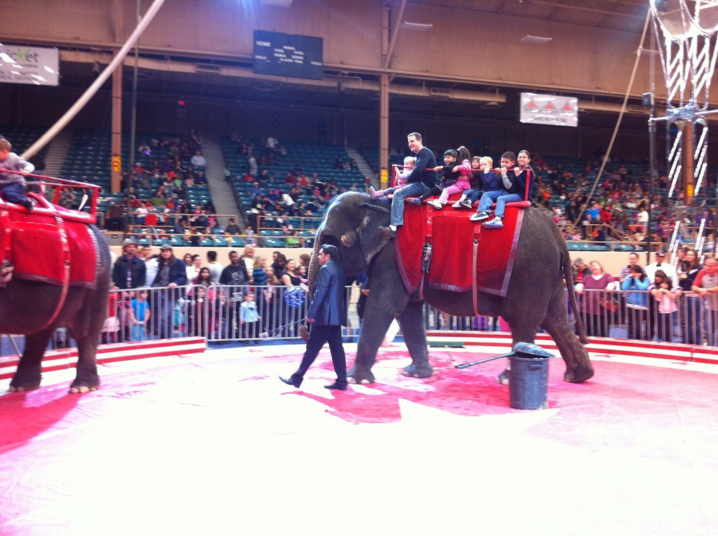 [IMG_3787%255B4%255D.jpg]