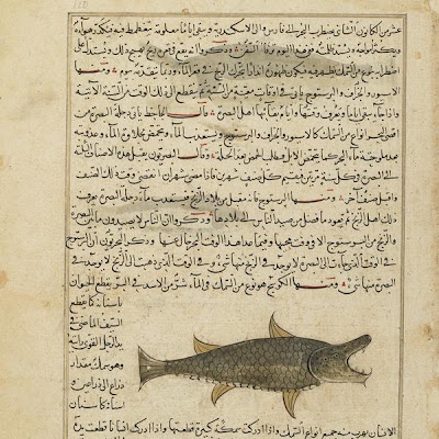 Folio from Aja'ib al-makhluqat (Wonders of Creation) by al-Qazvini; recto: Kausaj Fish (al-Kausaj) of the Persian Sea; verso: Dragon Fish, Saw Fish, and Circular fish with a Spike in its Long Tail, of the Persian Sea | Origin: Iraq or Eastern Turkey | Period: early 15th century | Details: Not Available | Type: Opaque watercolor, ink, gold and silver on paper | Size: H: 32.7 W: 22.4 cm | Museum Code: F1954.62 | Photograph and description taken from Freer and the Sackler (Smithsonian) Museums. da2522b0ac5249358b2389c663447ecd.jpg