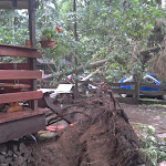 2012-08-06 16.53.42.jpg