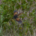 P1070015