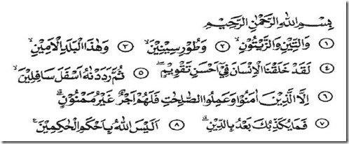 Mengenai Surah At-Tin Dan Terjemahnya Mengenai Surah At-Tin Dan Terjemahnya