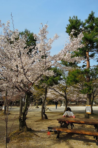 京都真如堂