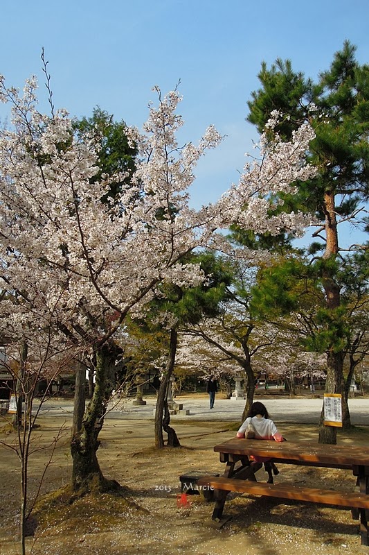 京都真如堂